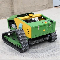 Selbstfahrender Rasenmäher für den Garten