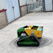 Benzin-Rasenmäher mit Fernbedienung und Fernbedienung