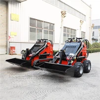 Kleiner Raupenstapler