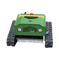 Kleiner Raupenmäher